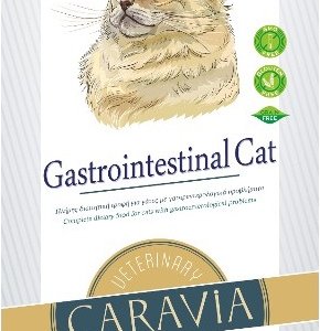 344-0022_Gastrointestinal Cat site